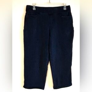 INTRO LOVE THE FIT NAVY CAPRIS